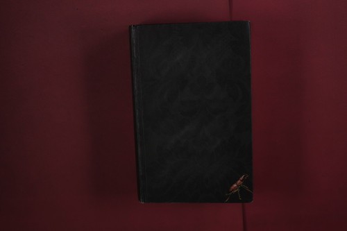 434059 stephen king - stephen,